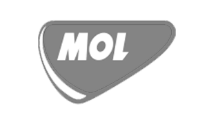 Digital Marketing - WEbSEM - Agentie SEO, Marketing Online 13 MOL