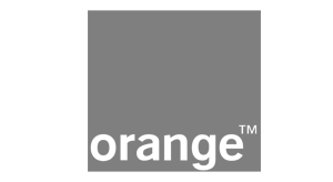 Digital Marketing - WEbSEM - Agentie SEO, Marketing Online 14 ORANGE