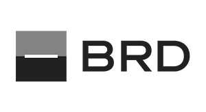 Digital Marketing - WEbSEM - Agentie SEO, Marketing Online 4 logo-brd